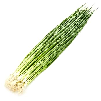 Amazon.co.jp: 高知県産 やっこねぎ(小ネギ) 1パック 90g : 食品
